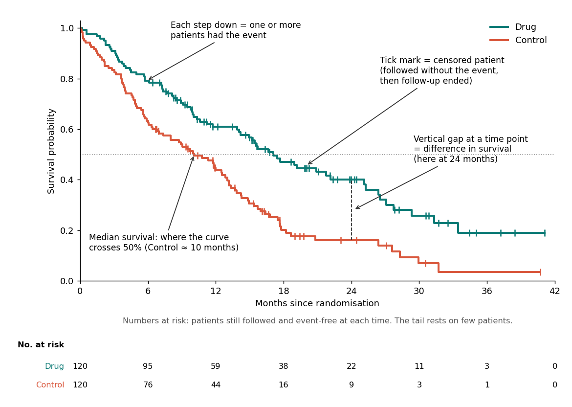 Annotated Kaplan–Meier curve showing steps, censor marks, the median, the gap between arms and the numbers-at-risk table